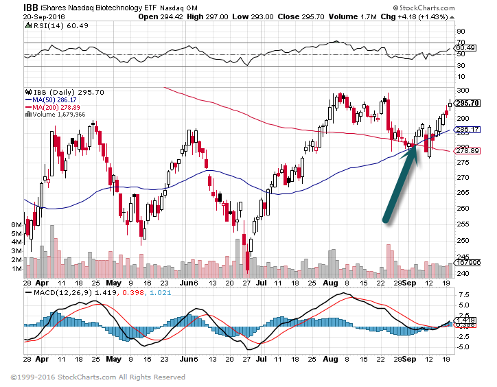 IBB Biotech