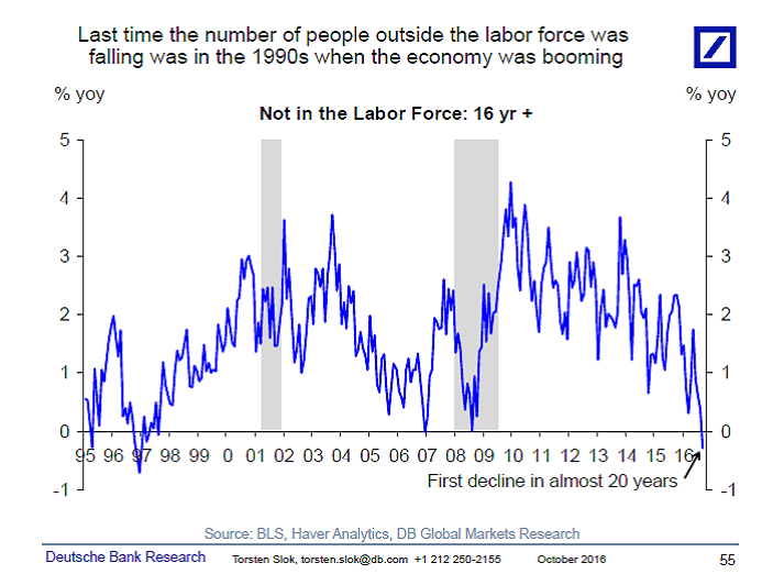 Not in the Labor Force