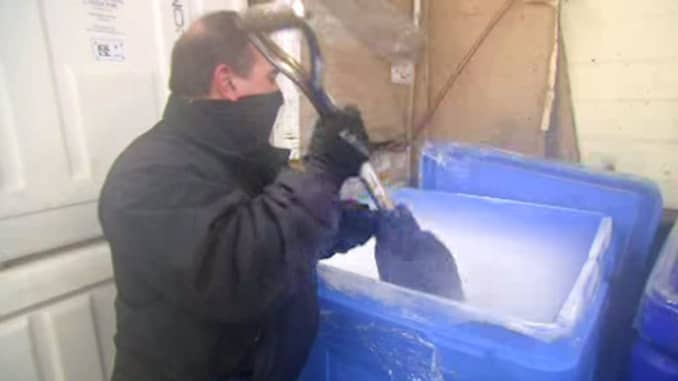 Chris Vida, owner of Dry Ice Depot in Bridgewater, N.J., shovels dry ice ahead of distribution.