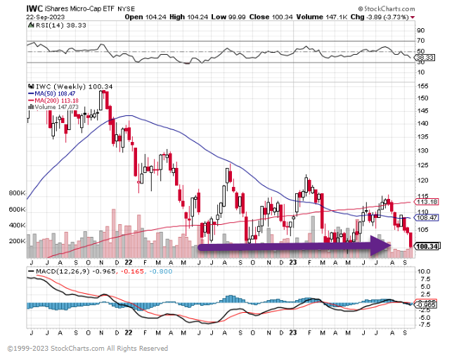 Micro discount cap etf